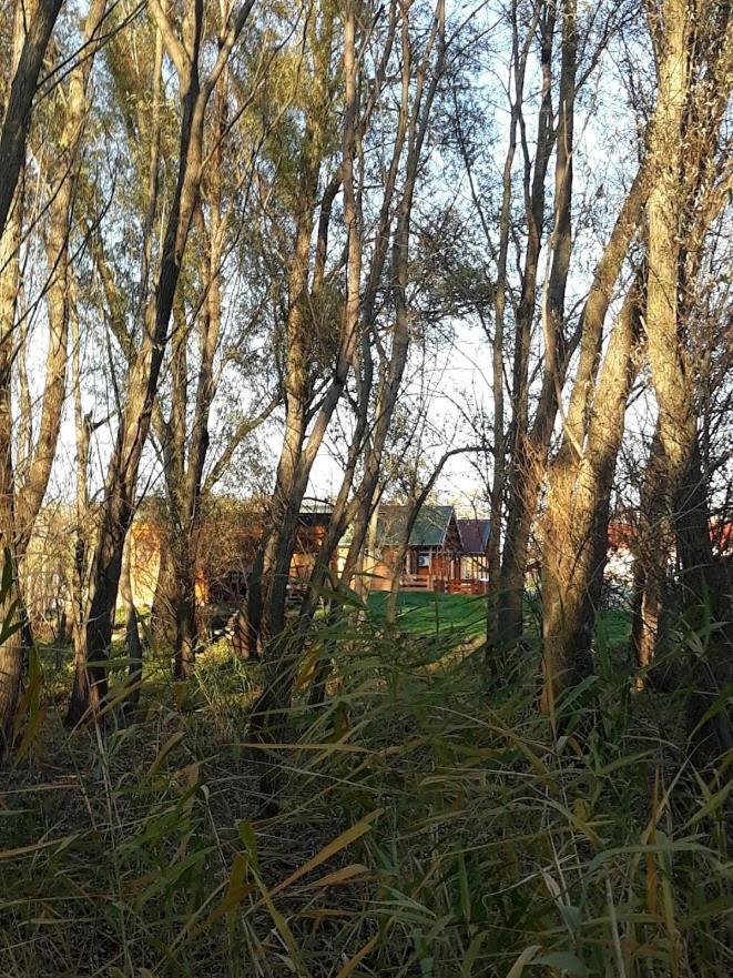 Korcal Fahazak Daire Koronco Dış mekan fotoğraf